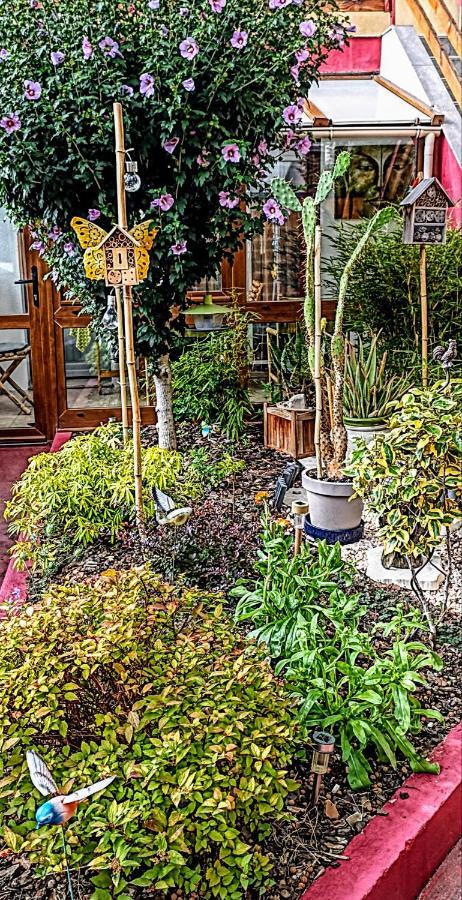 Un Moment De Douceur Bed and Breakfast Νανσύ Εξωτερικό φωτογραφία